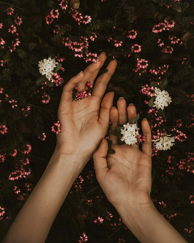 b6bbd366acd14787b3d0f2a601bad535.base.image.jpg