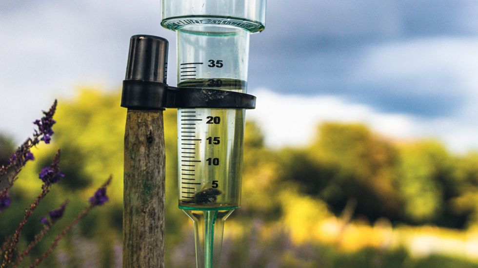 Le modèle agricole français est largement dépendant de la ressource en eau. À la fois victime et responsable de sa diminution, le secteur fait face à ses contradictions. Zoom sur le cas breton.