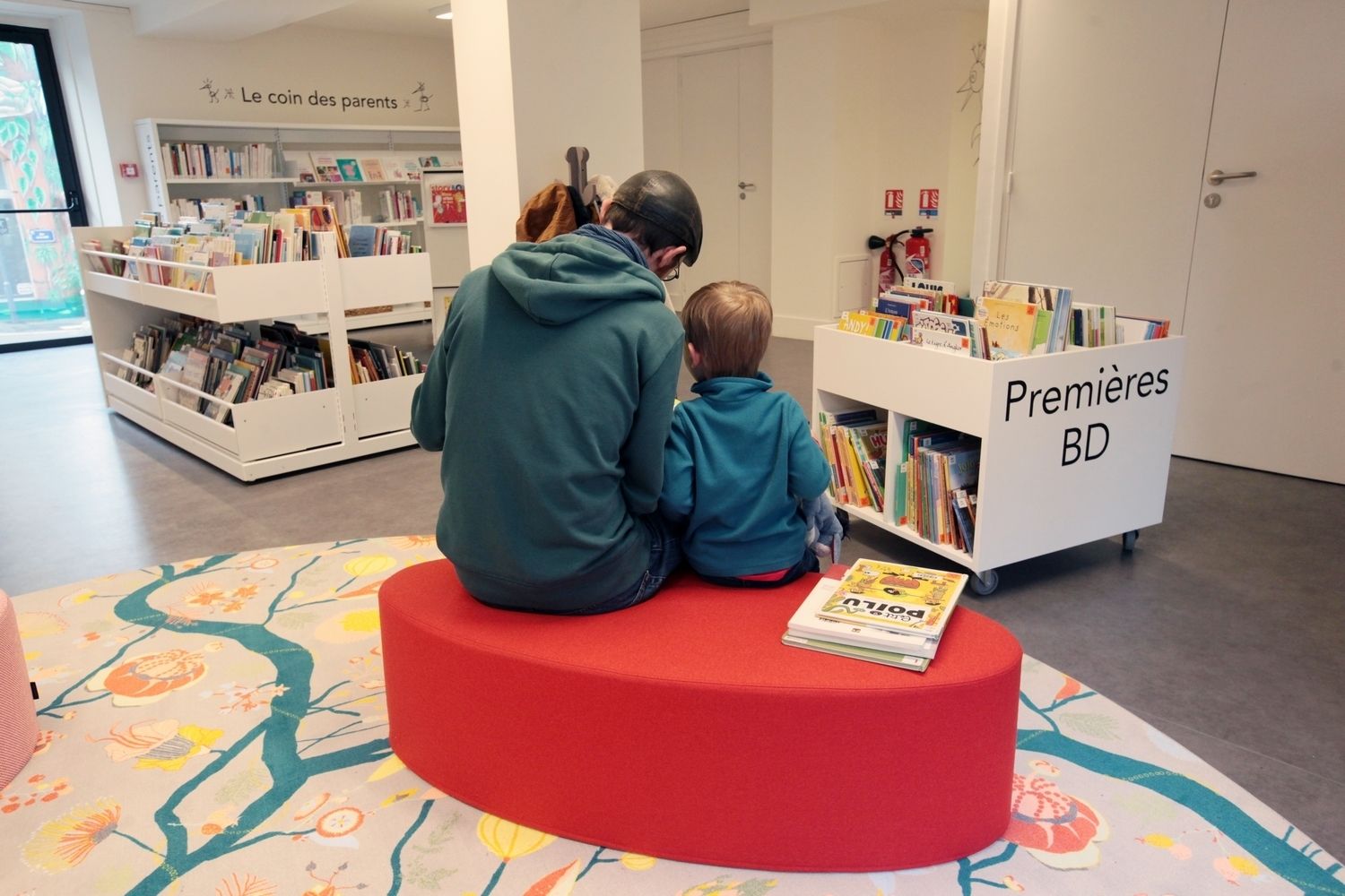 Ma bibliothèque en folie