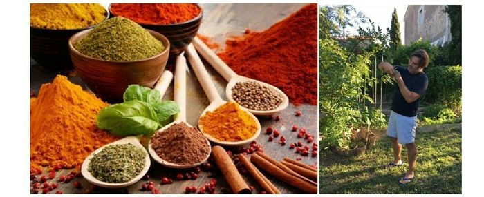 Le Yoga et les Saveurs de la Vie (3 au 5 fév)