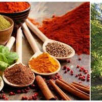 Le Yoga et les Saveurs de la Vie (3 au 5 fév)