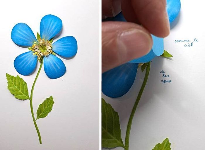 Sous les jupes des fleurs avec Fanny Pageaud