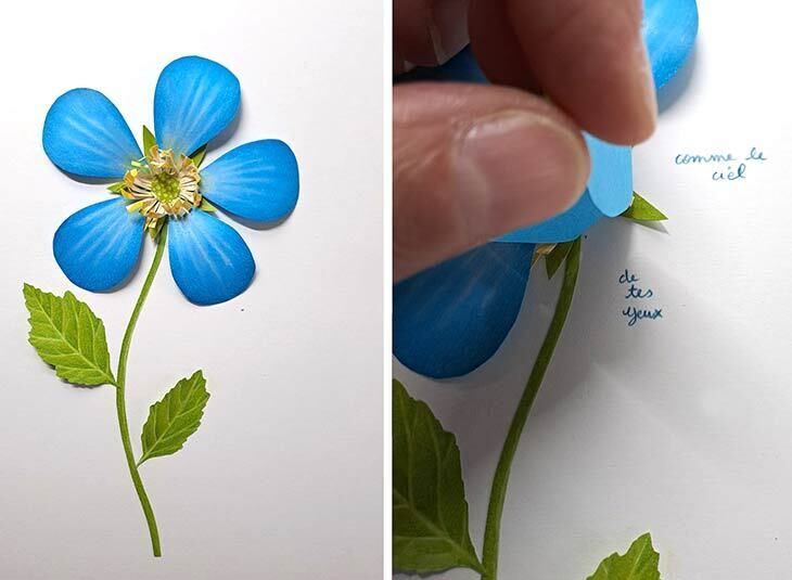 Sous les jupes des fleurs avec Fanny Pageaud
