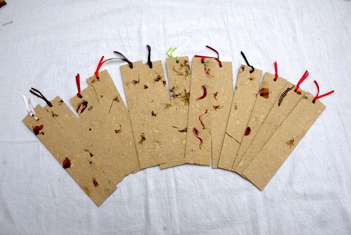 Fabrication de papier ensemencé