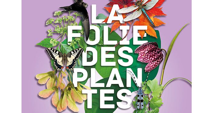 La Folie des plantes 2025