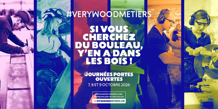 Si vous cherchez du bouleau, y'en a dans le bois !