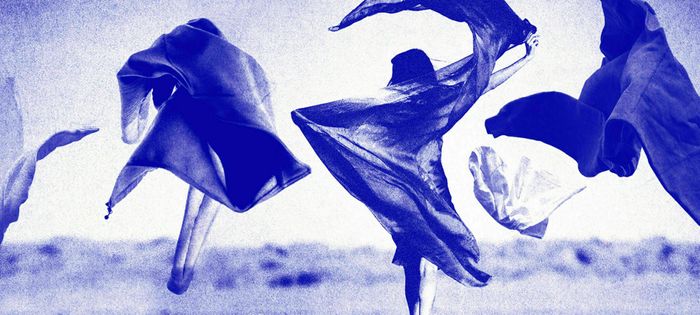 La Contrebande - Lectures au bord de l’étang