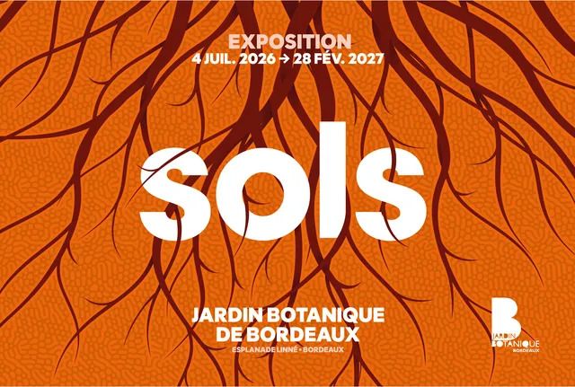 Visite commentée de l'exposition "SOLS"