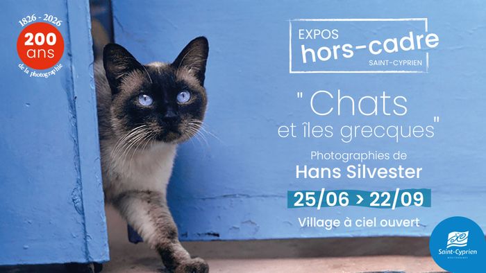 "Chats & Îles grecques" de Hans Silvester - Photographies