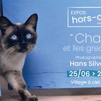 "Chats & Îles grecques" de Hans Silvester - Photographies