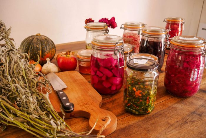 Atelier lactofermentation