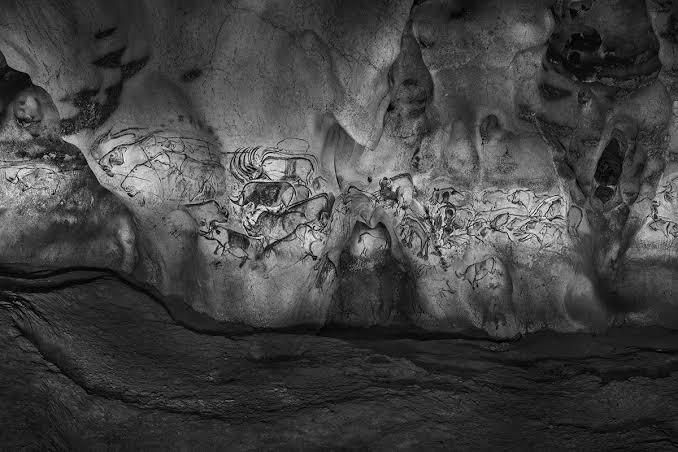 Conférence de Raphaël Dallaporta & Rémi Labrusse - Mémoire floue : de Chauvet à Fontainebleau