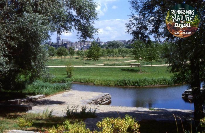 Les secrets du Parc Balzac
