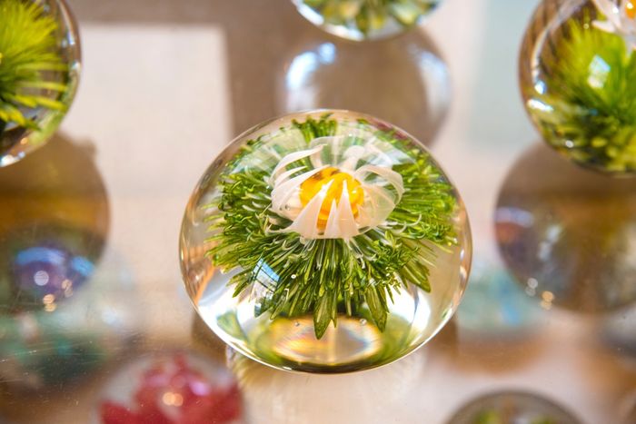 Découverte et initiation au métier de souffleur de verre