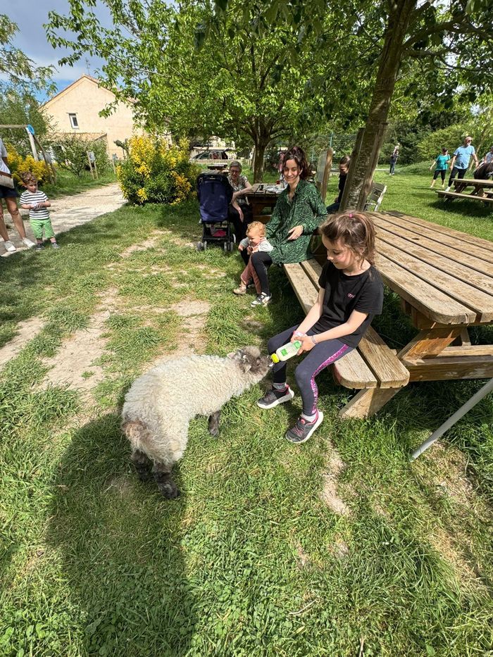 Discovery of the Mas de la Gallinière: visit to the farm and butter making workshop.