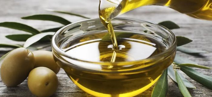 Rencontre avec le producteur d'huile d'olive
