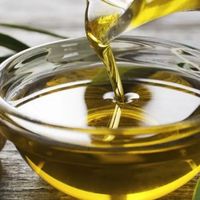 Rencontre avec le producteur d'huile d'olive