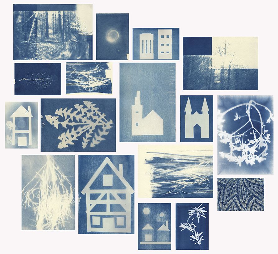 Atelier famille : "Cyanotype"