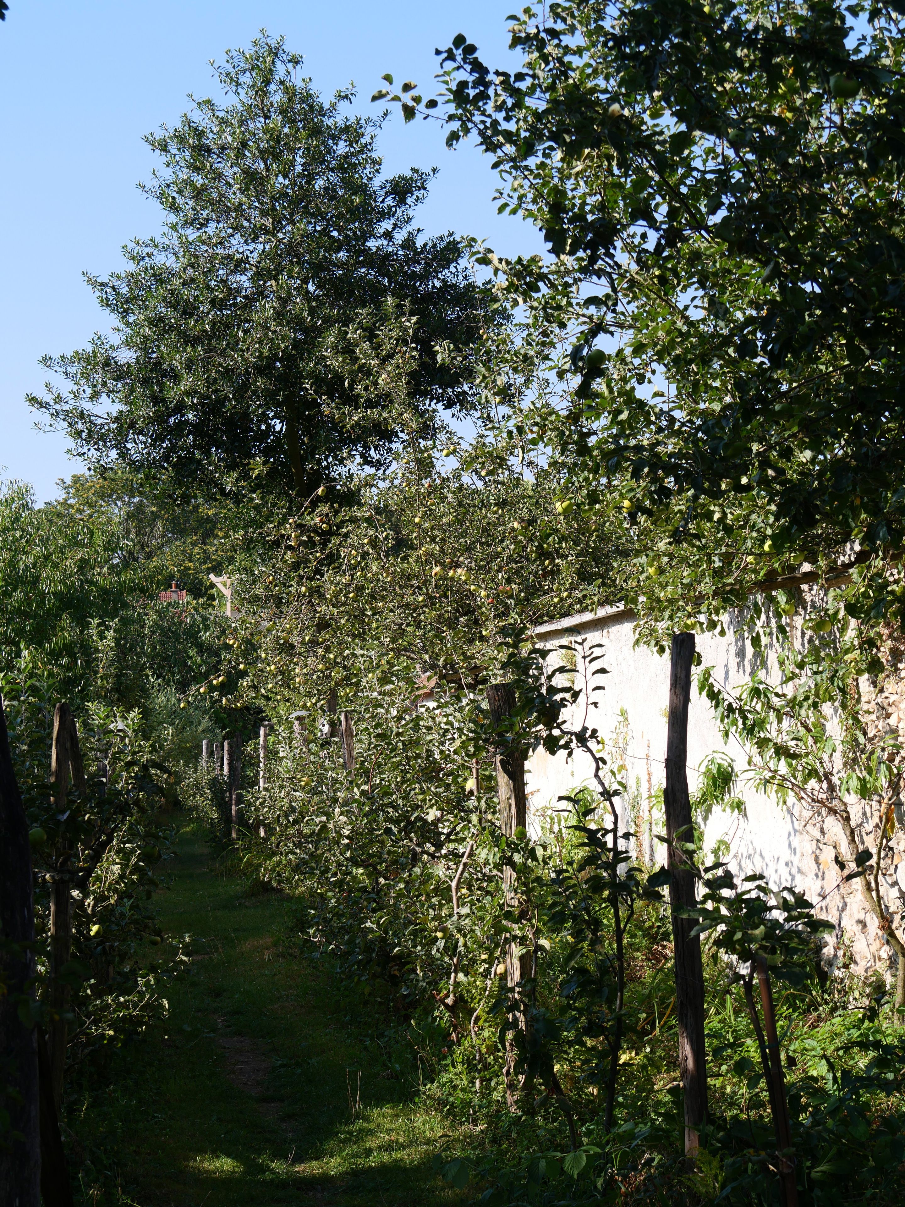 Visite des Jardins des Murs à Pêches