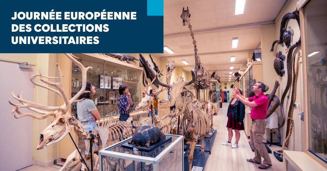 Journée européenne des collections universitaires