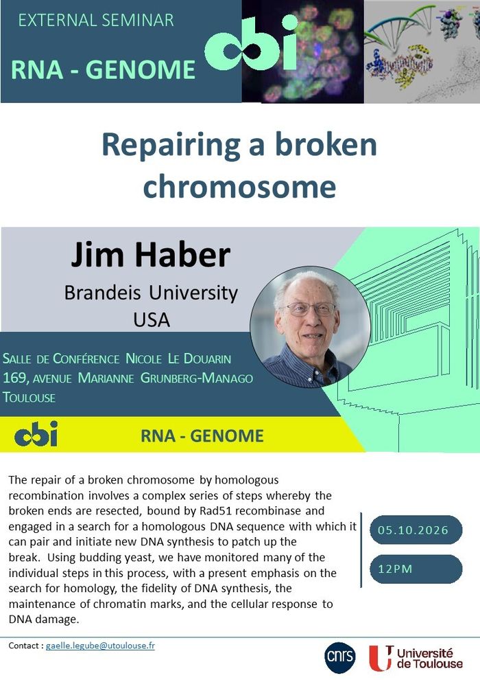 Repairing a broken chromosome