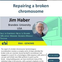 Repairing a broken chromosome