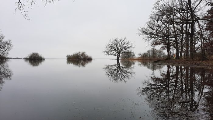 Sortie oiseaux sur les bords du Lac de Grandlieu