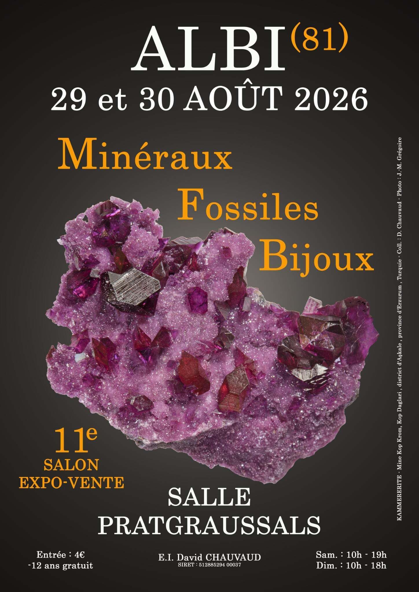 11e SALON MINERAUX FOSSILES BIJOUX d'ALBI (Tarn)