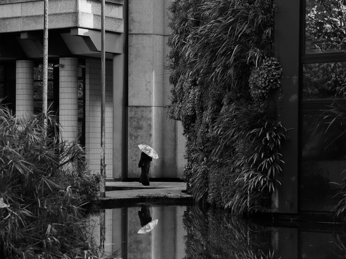 Nature en vues
