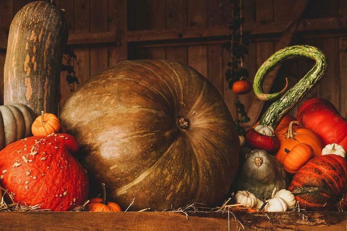 Repas d'automne