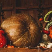 Repas d'automne