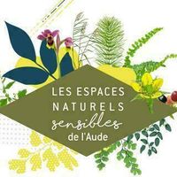 Ens: Au sommet de la falaise