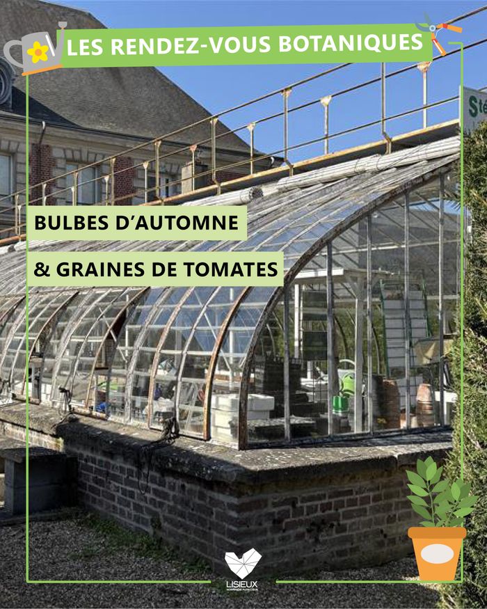 affiche de RDV botaniques : Bulbes d'automne & graines de tomates