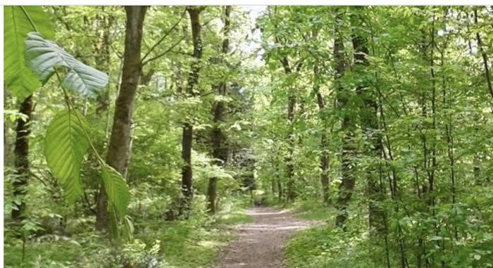 La Forge murmure - Balade nature et patrimoine