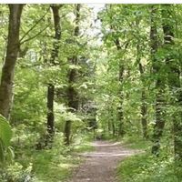 La Forge murmure - Balade nature et patrimoine