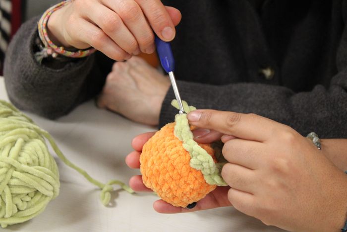 Vous savez déjà faire du crochet mais n'avez jamais tenté de créer des peluches ? Cet atelier est pour vous !