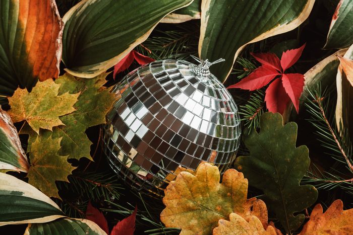 Bal d'automne avec l'accordéoniste M. VILLEMART