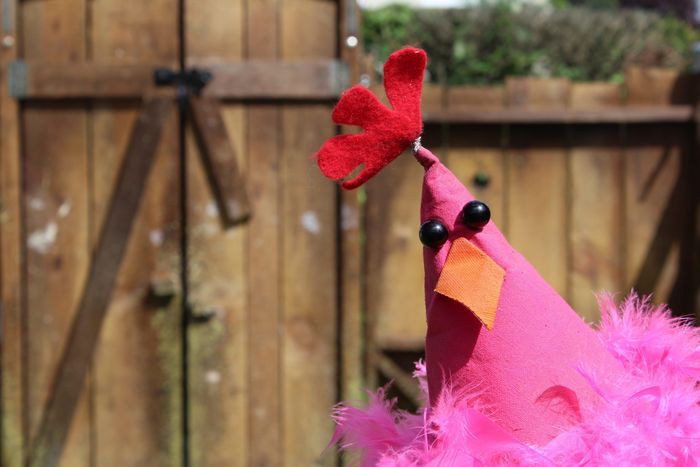 Poulette Crevette