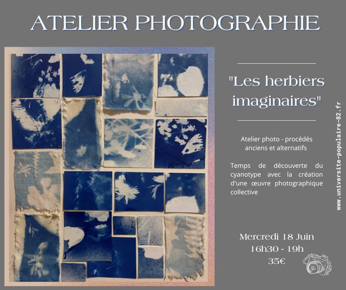 Atelier cyanotype : Herbiers Imaginaires