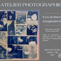 Atelier cyanotype : Herbiers Imaginaires