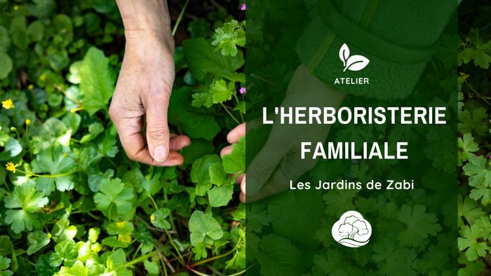 Herboristerie familiale - Fabriquer son sirop et sa tisane