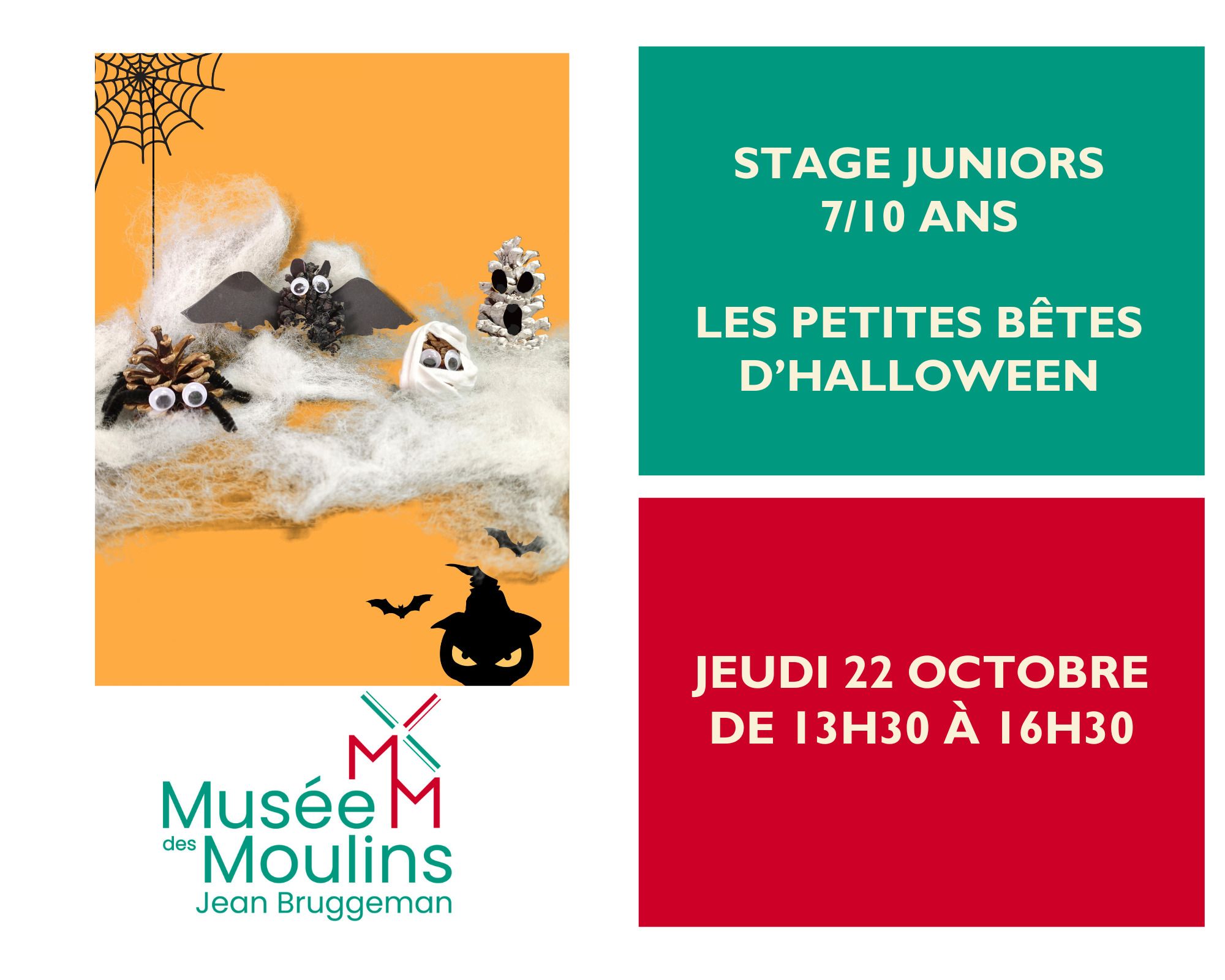 Stage Juniors 7/10 ans : les petites bêtes d'Halloween