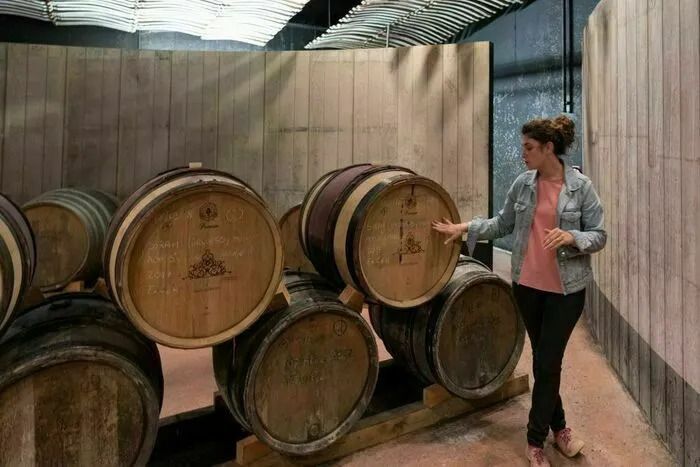 Visite commentée de la cave de Château Castigno