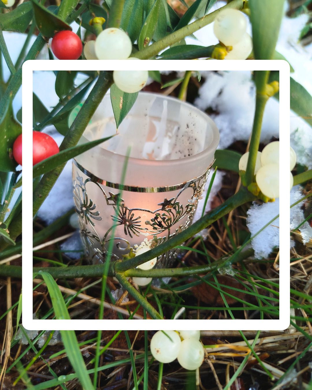 Atelier EVEIL NATURE parents-enfants