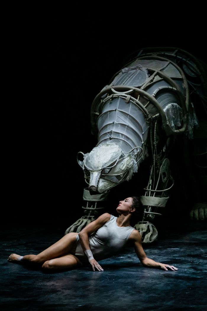 Solus Amor