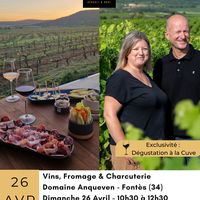 Visite et dégustation de vins au Domaine Anqueven à Fontès