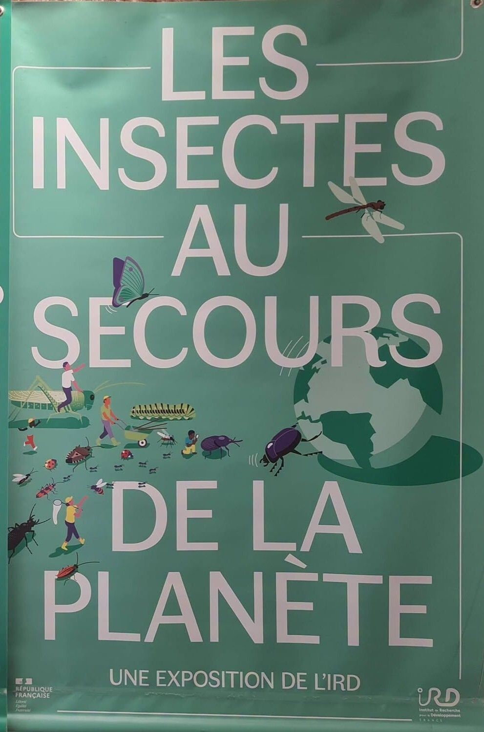 Les Insectes Au Secours De La Planète
