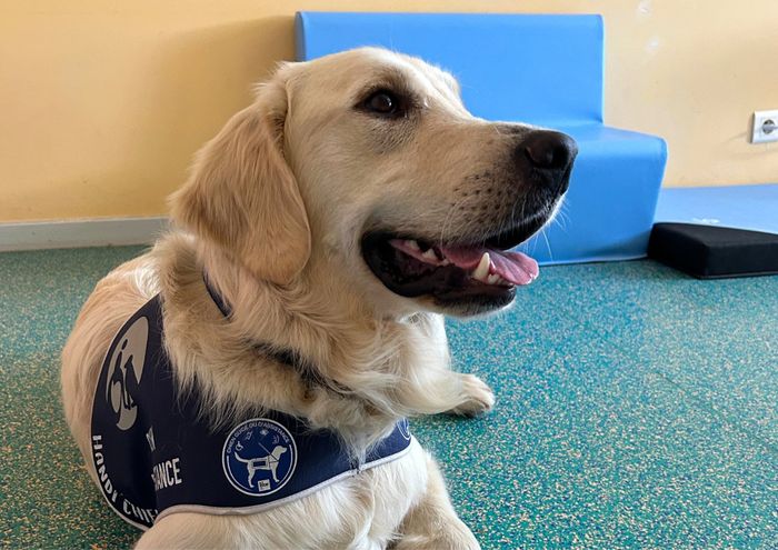 [RENCONTRE] Atelier Découverte : Médiation Canine avec Utah