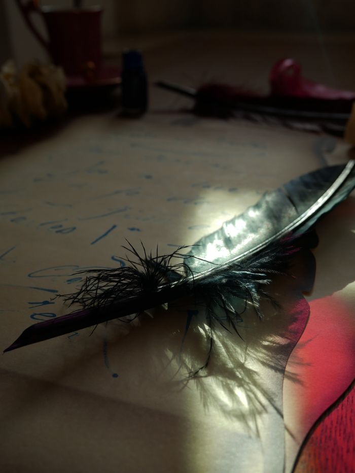 Animation enfant : Le Bal de la Duchesse