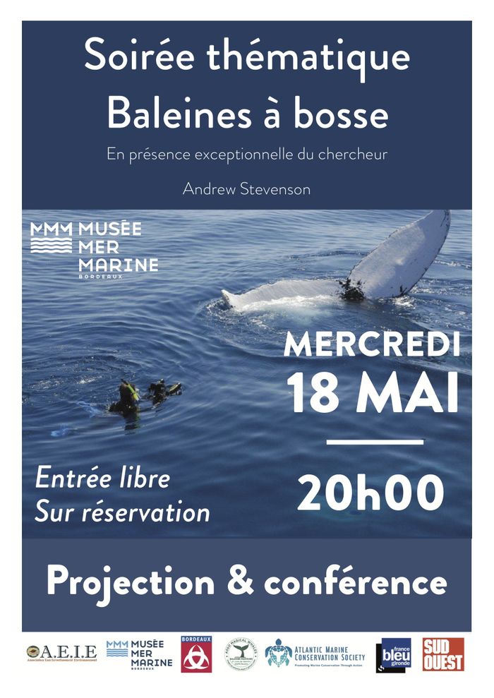 Les Vies secrètes des Baleines à bosse